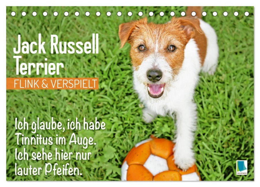 Jack Russell Terrier: flink und verspielt (Tischkalender 2025 DIN A5 quer), CALVENDO Monatskalender - Calvendo Calvendo