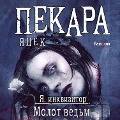 Cover-Bild zum Titel 'M¿ot na czarownice' von 'Jacek Piekara'