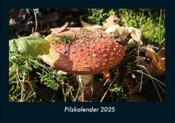 Cover-Bild zum Titel 'Pilzkalender 2025 Fotokalender DIN A4' von 'Tobias Becker'