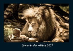 Cover-Bild zum Titel 'Löwen in der Wildnis 2027 Fotokalender DIN A4' von 'Tobias Schmitt, Kevin Heber'