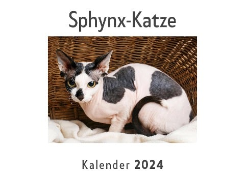 Sphynx-Katze (Wandkalender 2024, Kalender DIN A4 quer, Monatskalender im Querformat mit Kalendarium, Das perfekte Geschenk) - Anna Müller