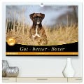 Gut - besser - Boxer (hochwertiger Premium Wandkalender 2025 DIN A2 quer), Kunstdruck in Hochglanz - Yvonne Janetzek