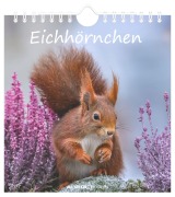 Cover-Bild zum Titel 'Eichhörnchen 2027' von ''