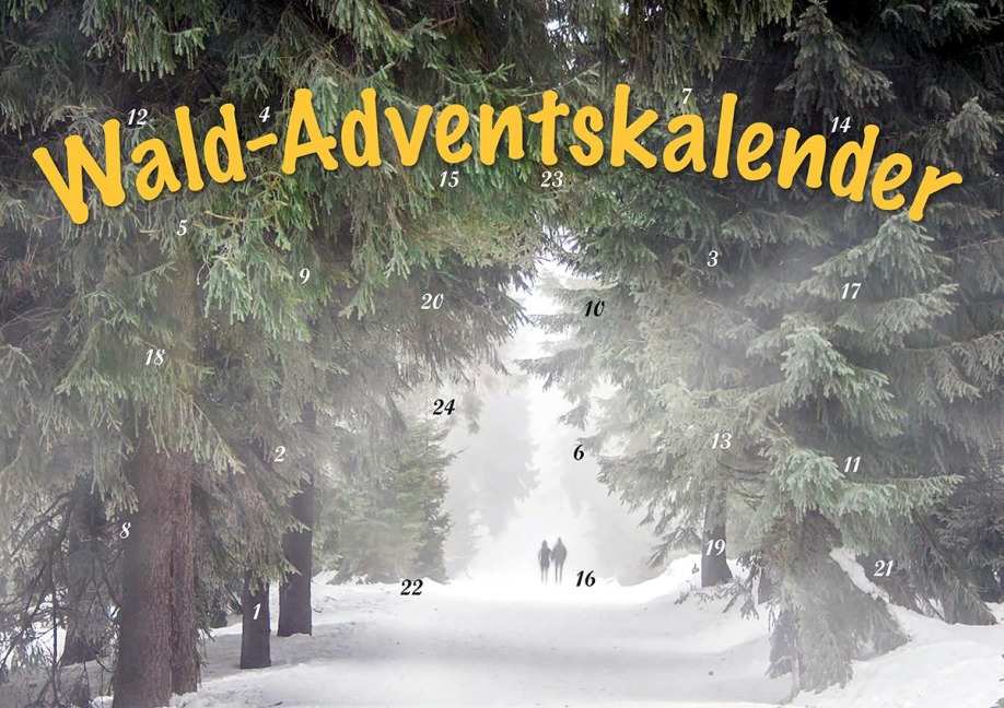 Durch den Wald im Advent - 