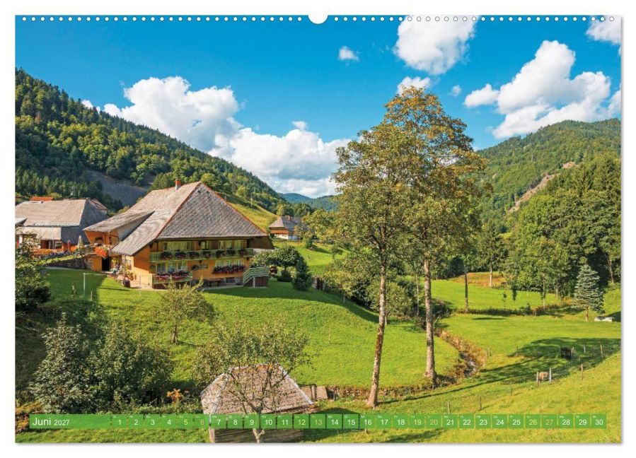 InsideView 10