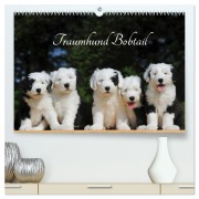 Cover-Bild zum Titel 'Traumhund Bobtail (hochwertiger Premium Wandkalender 2026 DIN A2 quer), Kunstdruck in Hochglanz' von 'Sigrid Starick'