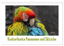 Kunterbunte Papageien und Sittiche (Wandkalender 2026 DIN A4 quer), CALVENDO Monatskalender - Angelika Beuck