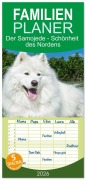 Cover-Bild zum Titel 'Familienplaner 2026 - Der Samojede - Schönheit des Nordens mit 5 Spalten (Wandkalender, 21 x 45 cm) CALVENDO' von 'Sigrid Starick'
