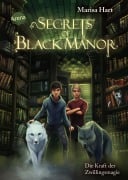 Cover-Bild zum Titel 'Secrets of Black Manor (3). Die Kraft der Zwillingsmagie' von 'Marisa Hart'