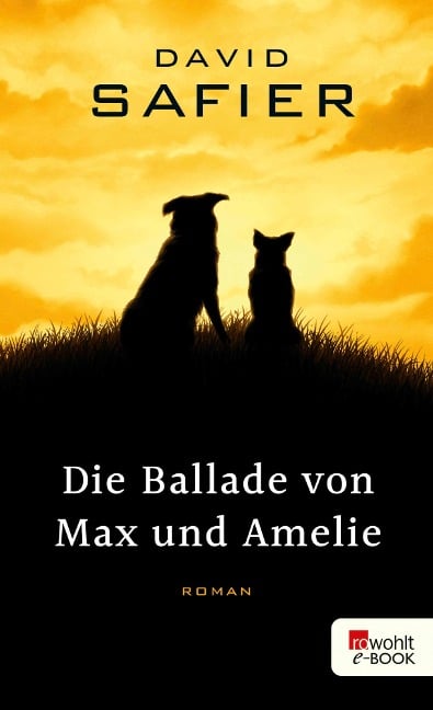 Die Ballade von Max und Amelie - David Safier