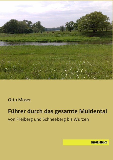 Führer durch das gesamte Muldental - Otto Moser
