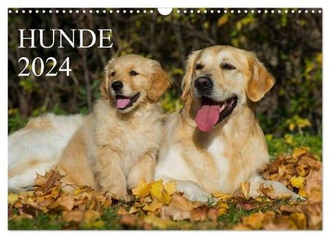 Hunde - Treue Freunde für¿s Leben (Wandkalender 2024 DIN A3 quer), CALVENDO Monatskalender - Sigrid Starick