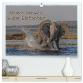 Afrikas Tierwelt - Wilde Elefanten (hochwertiger Premium Wandkalender 2025 DIN A2 quer), Kunstdruck in Hochglanz - Michael Voß