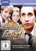 Cover-Bild zum Titel 'Vorsicht! Falke!' von 'Gabriele Stave, John Stave, Bernd Wefelmeyer'