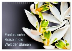 Fantastische Reise in die Welt der Blumen (Wandkalender 2026 DIN A4 quer), CALVENDO Monatskalender - Anke Klöppel