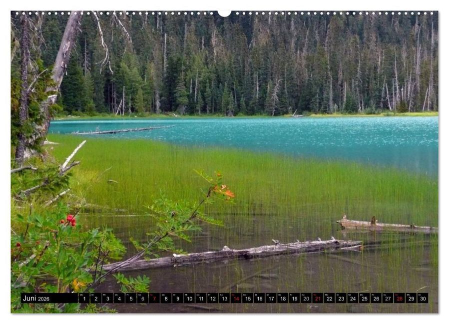 InsideView 11