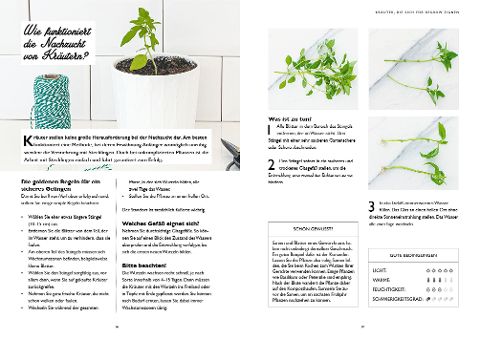 InsideView 10