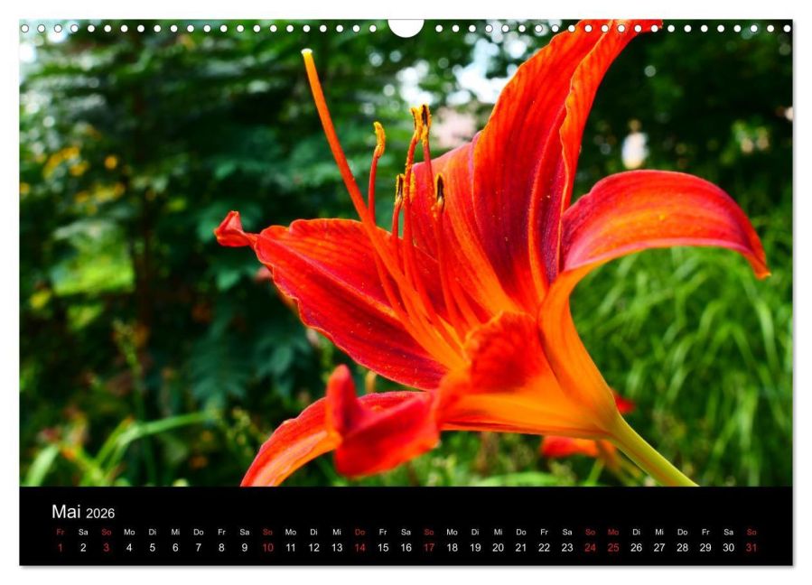 InsideView 10
