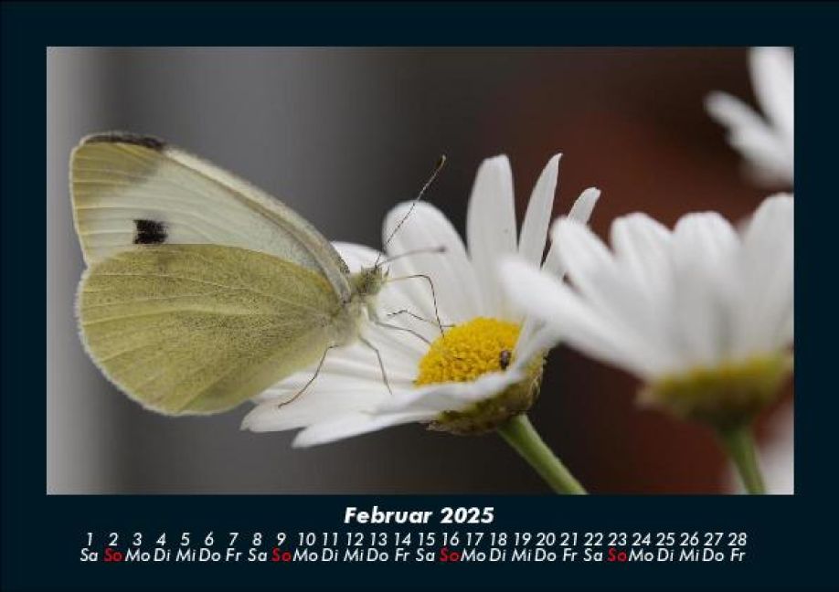 InsideView 6