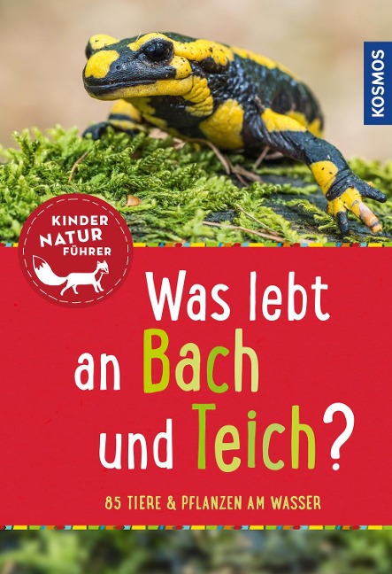 Was lebt an Bach und Teich? Kindernaturführer - Anita van Saan
