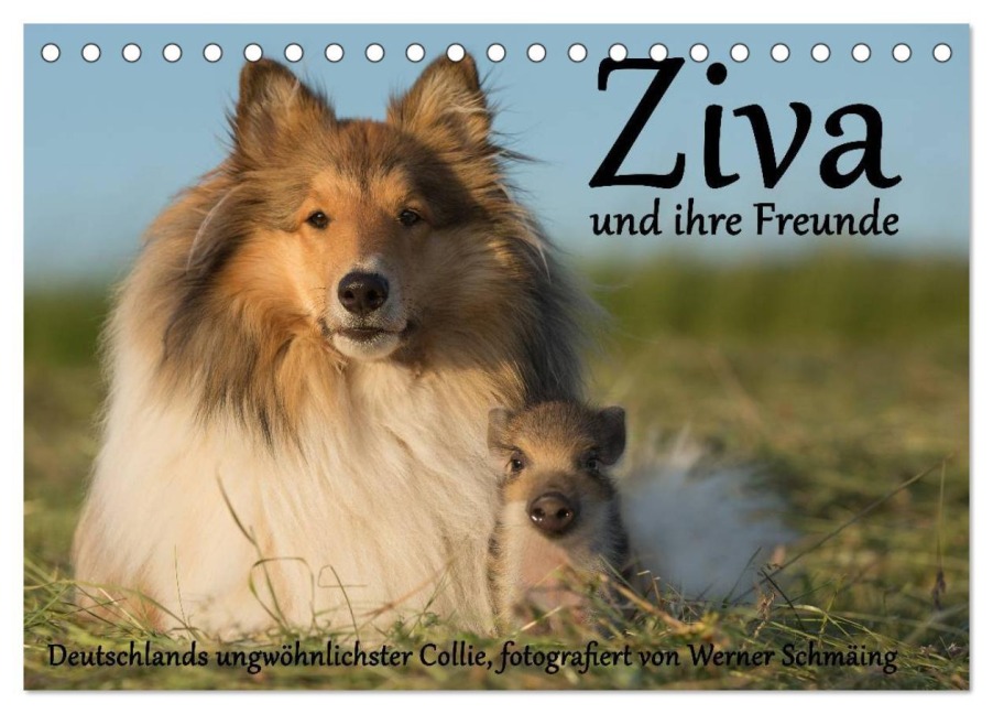 Ziva und ihre Freunde (Tischkalender 2025 DIN A5 quer), CALVENDO Monatskalender - Werner Schmäing