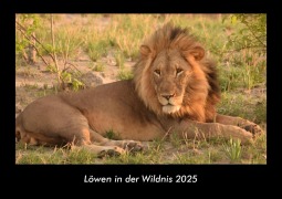 Cover-Bild zum Titel 'Löwen in der Wildnis 2025 Fotokalender DIN A3' von 'Tobias Becker'