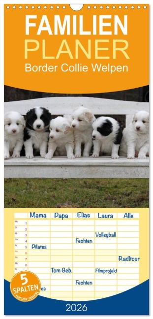 Familienplaner 2026 - Border Collie Welpen mit 5 Spalten (Wandkalender, 21 x 45 cm) CALVENDO - Antje Lindert-Rottke