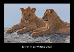Cover-Bild zum Titel 'Löwen in der Wildnis 2025 Fotokalender DIN A3' von 'Tobias Becker'