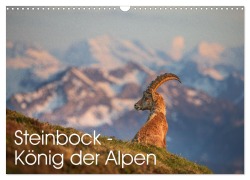 Cover-Bild zum Titel 'Steinbock - König der Alpen (Wandkalender 2026 DIN A3 quer), CALVENDO Monatskalender' von 'David Oberholzer - www. davidoberholzer. ch'