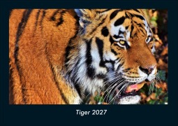 Cover-Bild zum Titel 'Tiger 2027 Fotokalender DIN A4' von 'Tobias Schmitt, Kevin Heber'