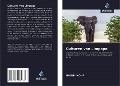 Cover-Bild zum Titel 'Culturen van Limpopo' von 'Imohp Imohp'