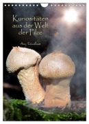 Cover-Bild zum Titel 'Kuriositäten aus der Welt der Pilze (Wandkalender 2027 DIN A4 hoch), CALVENDO Monatskalender' von 'Heinz Schmidbauer'