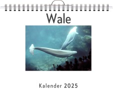 Cover-Bild zum Titel 'Wale' von 'Julian Krüger'
