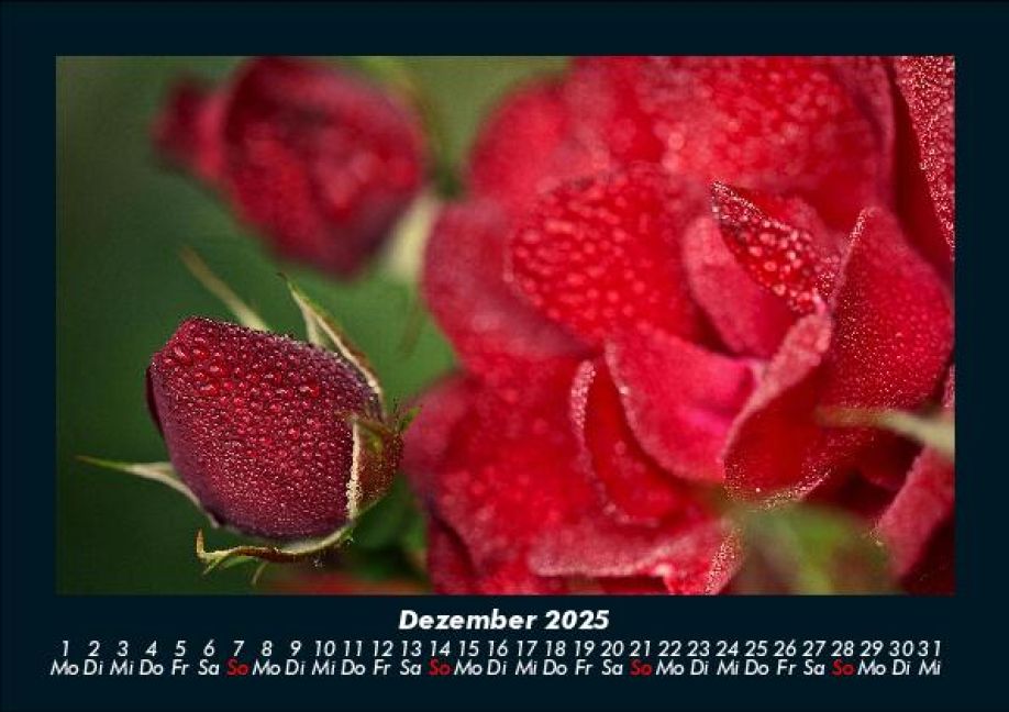 InsideView 4