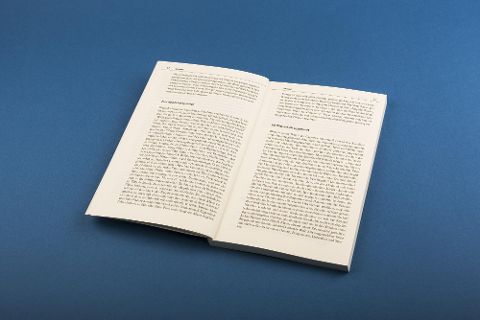 InsideView 6