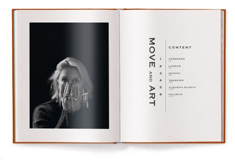 InsideView 2