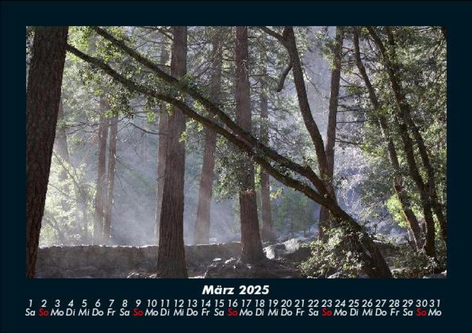 InsideView 7
