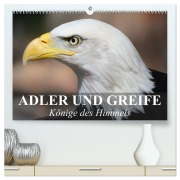 Cover-Bild zum Titel 'Adler und Greife - Könige des Himmels (hochwertiger Premium Wandkalender 2026 DIN A2 quer), Kunstdruck in Hochglanz' von 'Elisabeth Stanzer'