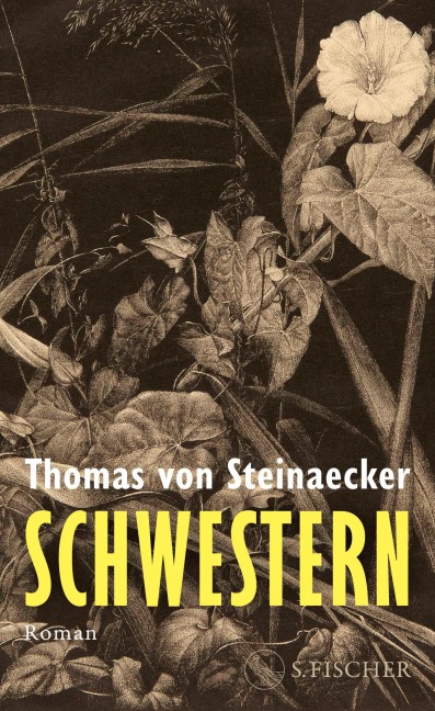 Schwestern - Thomas von Steinaecker
