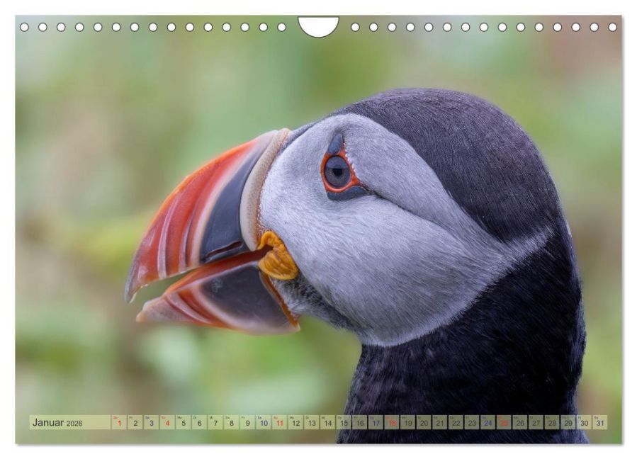 InsideView 6