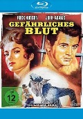 Cover-Bild zum Titel 'Gefährliches Blut' von 'John Wesley Hardin, William Alland, Bernard Gordon, Herman Stein'