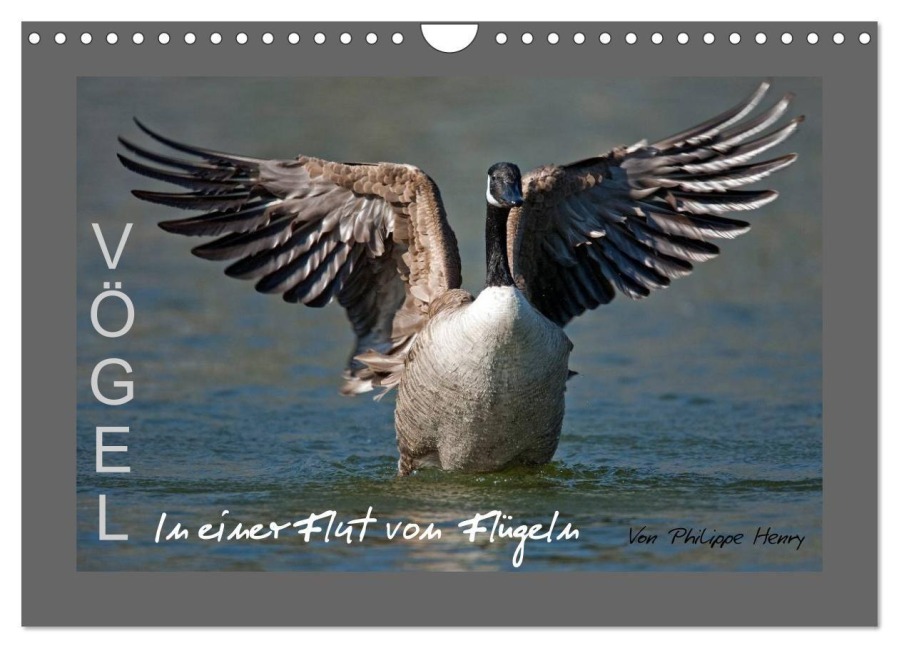 VÖGEL (Wandkalender 2027 DIN A4 quer), CALVENDO Monatskalender - Philippe Henry