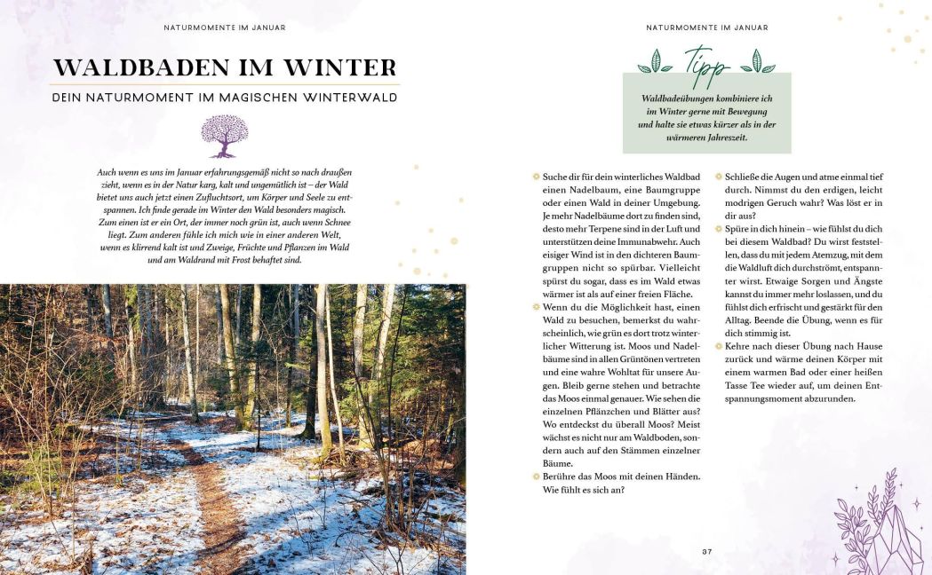 InsideView 16