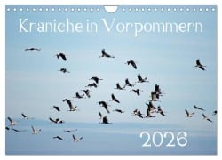 Cover-Bild zum Titel 'Kraniche in Vorpommern (Wandkalender 2026 DIN A4 quer), CALVENDO Monatskalender' von 'Siegfried Reinhold'