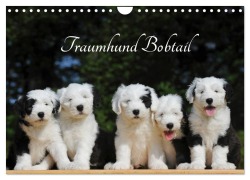 Cover-Bild zum Titel 'Traumhund Bobtail (Wandkalender 2026 DIN A4 quer), CALVENDO Monatskalender' von 'Sigrid Starick'