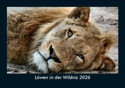 Cover-Bild zum Titel 'Löwen in der Wildnis 2026 Fotokalender DIN A5' von 'Tobias Becker'