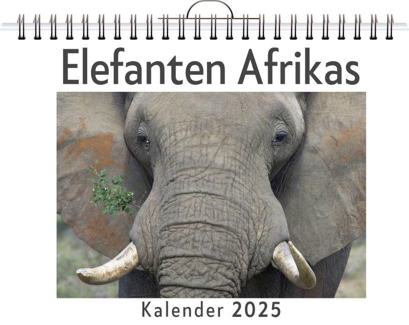 Elefanten Afrikas - Ella Weber