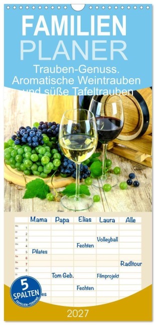 Familienplaner 2027 - Trauben-Genuss. Aromatische Weintrauben und süße Tafeltrauben mit 5 Spalten (Wandkalender, 21 x 45 cm) CALVENDO - Rose Hurley