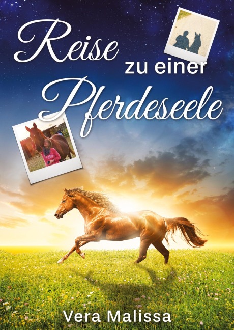 Reise zu einer Pferdeseele - Vera Malissa