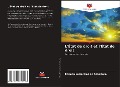 Cover-Bild zum Titel 'L'État de droit et l'État de droit' von 'Carmen Luiza Dias de Azambuja'